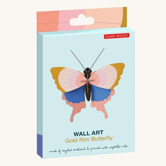 Gold Rim Butterfly