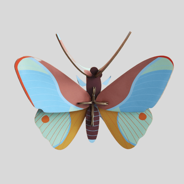 Claudina Butterfly
