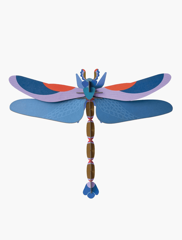 Blue Dragonfly