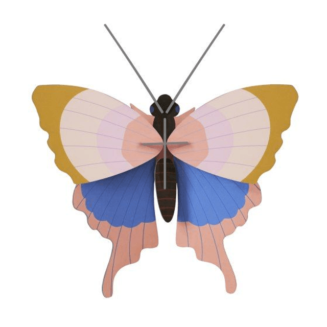 Gold Rim Butterfly